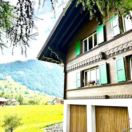Ski-in Ski-out - Great Flat On The Wispile Apartment Gstaad