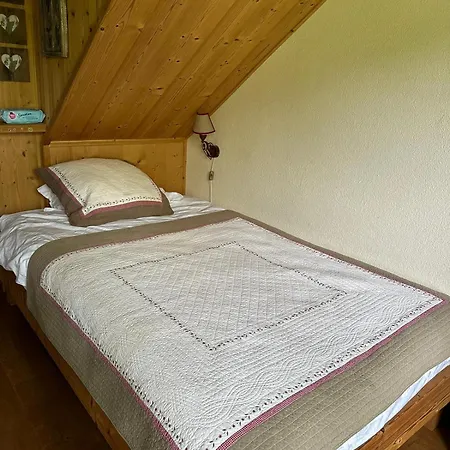 Ski-in Ski-out - Great Flat On The Wispile Gstaad